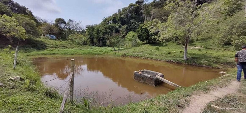 Imagem 4 de 14 de Miracatu/sitio Com 03 Lagos/pasto/curral/ref: 05068