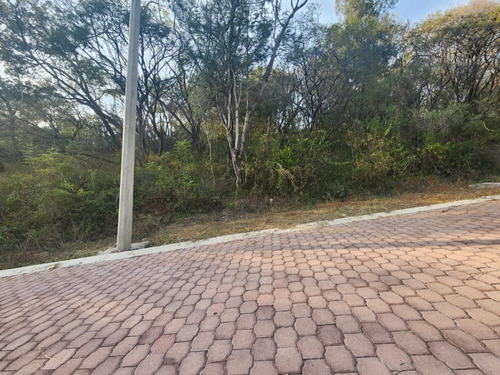 Venta Lote Gladiola 36 En Nueva Zona Del Fraccionamiento Muy Cerca De La Entrada Con Vistas Panorámicas, Poryecto Incluído En Rancho San Diego Ixtapan De La Sal Edomex