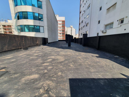Imagen 22 de 25 de Local - Mar Del Plata