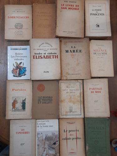 Clásicos Literatura En Francés 30 Libros Juntos E13