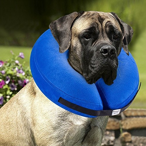Bencmate Collar Inflable Protector Para Perros Y 5jglm