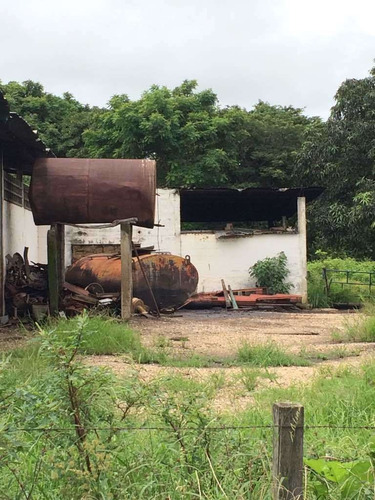 Imagen 15 de 21 de Finca Cerca De Rio Tiznado A 50 Km De Calabozo