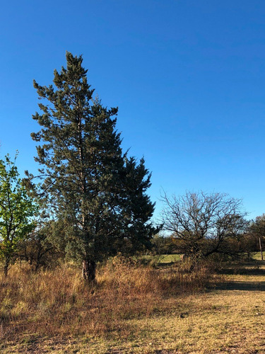 Imagen 9 de 14 de Lote De 6490 M2 Camino A Dique La Viña / Villa De Las Rosas