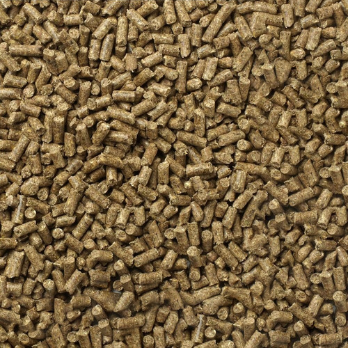 Alimento Para Conejo Mazuri 1kg Pellet Timothy