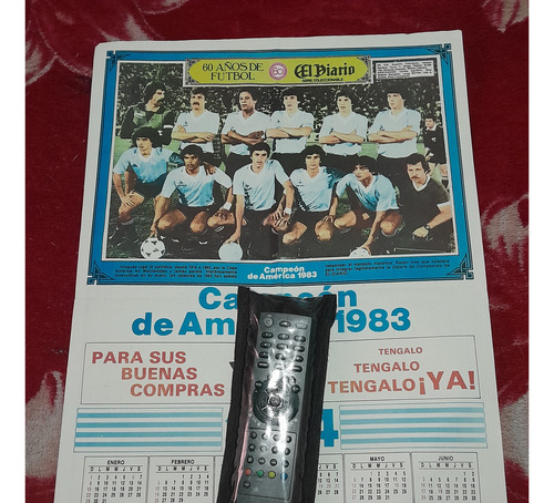 Tres Pósters De La Selección Uruguaya Campeona De América (Usado)
