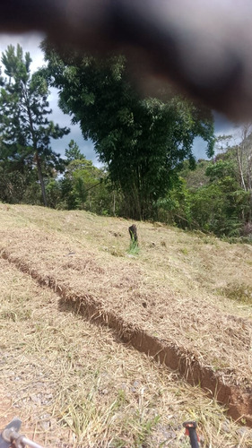 Vende-se Terreno Para Construir De Sítio Ou Chácara