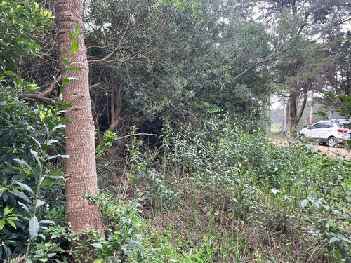 Venta Terreno Punta Del Este