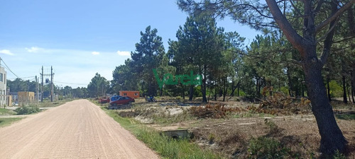 Imagen 4 de 9 de Terrenos Financiados A Pura Cuota En El Pinar Proximos A Gianattassio