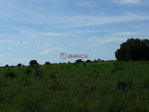 Imagem 3 de 19 de Fazenda Com 2.723 Mil Hectares No Vale Do Araguaia, Região Alvorada/araguaçu,to - Fa00021 - 69448081