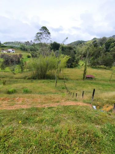 Lote En Venta En San Vicente Ferrer. Cod V12470