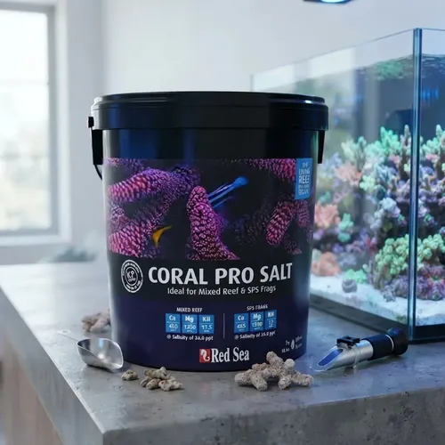 海水魚用品 Red Sea CORAL PRO SALT 22kg Sal Red Sea Coral Pro 22kg Pra Aquários Marinhos Rende 660L