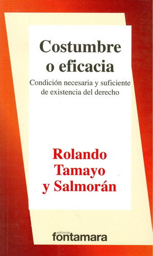 Costumbre O Eficacia. Condición Necesaria Y Suficiente De Ex