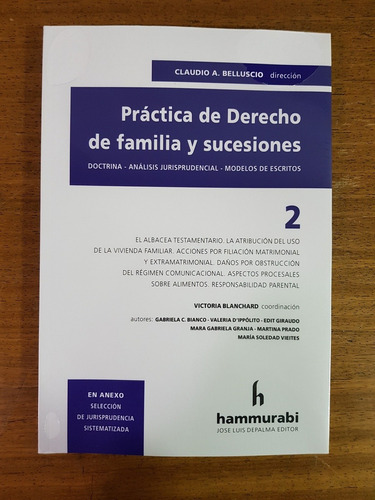 Practica De Derecho De Familia Y Sucesiones. 2 - Belluscio