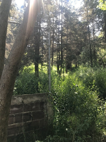 Imagen 6 de 7 de Venta Terreno Xochimilco Para Inversionistas