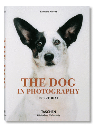 Libro The Dog In Photography 1839-today