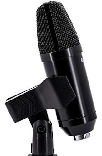 Cad Audio U29 Usb Microfono De Estudio De Direccion Lateral