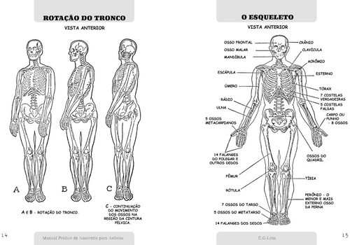 Manual Pratico De Anatomia Para Artistas - Editora Criativo
