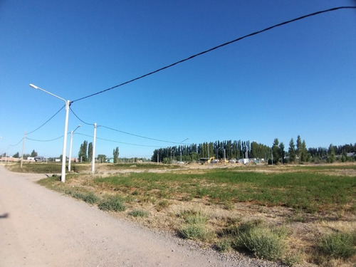Imagen 3 de 6 de Terreno 250 M² Barrio Confluencia Rural Loteo Los Cardenales