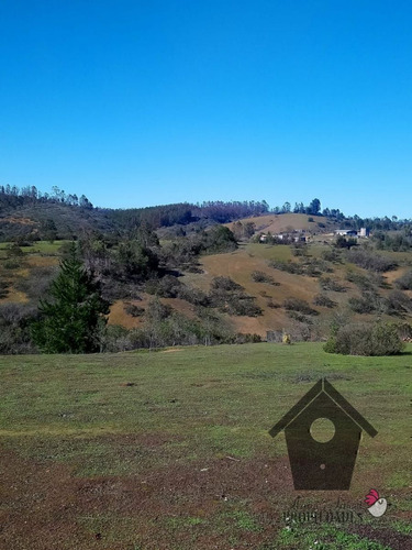 Parcela Camino A Tunquen, Agarrobo, 3.56 Hectáreas