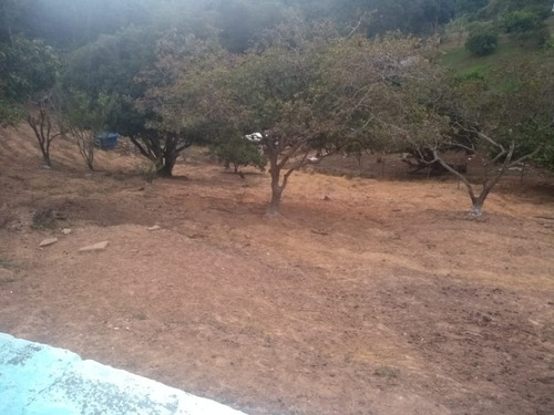 Imagem 27 de 30 de Chacara - Ch00054 - 67865710