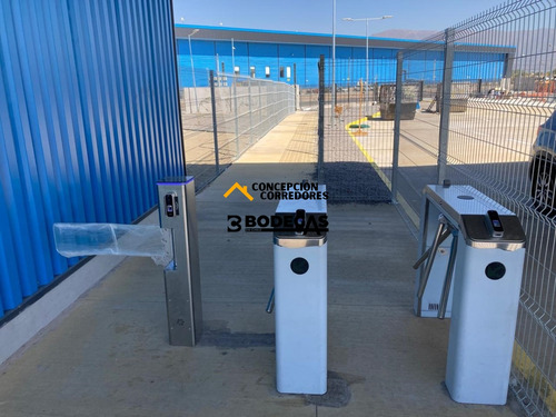 Arriendo Bodega De 1.200 M2 En P. Industrial Enea, Pudahuel.