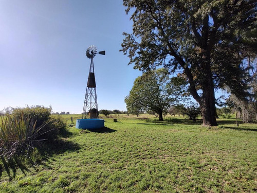 Terreno - San Nicolas De Los Arroyos