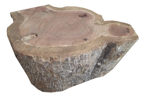 Bolacha Rústica De Pinus Para Decoração Artesenal