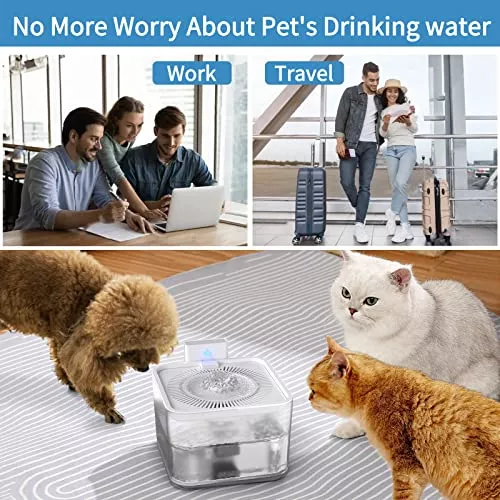 Fuente De Agua Para Gatos Con Sensor De Movimiento: Papifeed