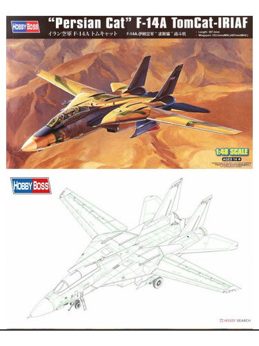 Grumman F-14 A Tomcat 1/48 Kit Hobbyboss Muy Muy Detallado