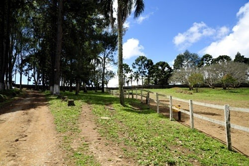 Imagem 4 de 30 de Haras A Venda Estado De Sao Paulo Cidade Piedade ( 4132 )