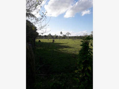 Imagen 1 de 6 de Terreno En Venta Norte 1ra. Sección (buena Vista)