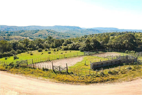 Imagen 11 de 13 de Chacra En Venta - Aiguá Cw177044