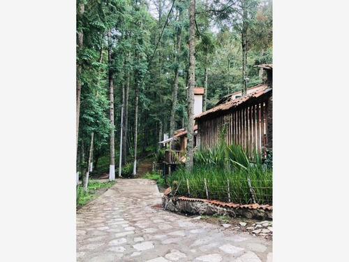 Imagen 6 de 12 de Terreno En Venta Crea Tu Propia Cabaña Adquiere Tu Terreno En Pleno Bosque En Facilidades Sin Int