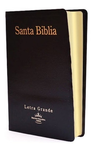 Biblia Reina Valera 1960 Letra Grande Negro Con Canto Dorado