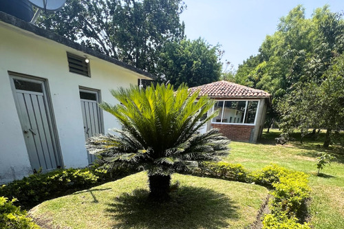 Terreno De 2,204 M² En Chiconcuac, Xochitepec, Morelos | Con Alberca Y Explanada Para Eventos