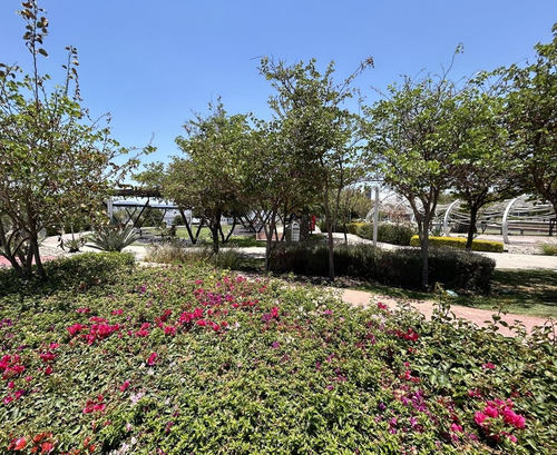 Zibata Queretaro, Precioso Lote En Venta De 309.25 M2. Condominio Cardon
