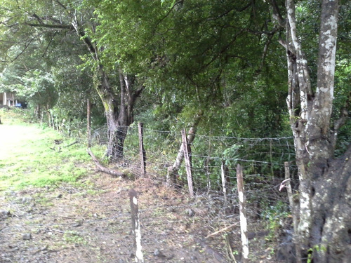 Finca