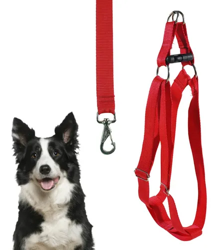 Peitoral Regulável Cachorro Grande Vermelho Pampet com Guia