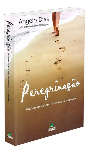 Peregrinação: Não Aplica, De Médium: Angelo Dias / Ditado Por: Carlos Henrique. Série Não Aplica, Vol. Não Aplica. Editora Feego, Capa Mole, Edição Não Aplica Em Português, 2018