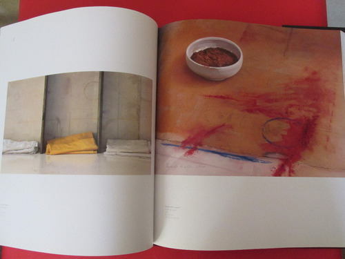 Imponente Libro Pintor Chileno Ricardo Maffei 2010 Mu Escaso (Usado)