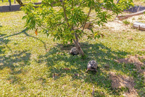 Imagem 11 de 30 de Fazenda À Venda No Bairro Sarapuí - Sarapuí/sp - O-8420-17443