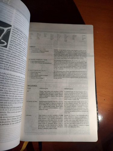 Bíblia De Estudo Aplicacação Pessoal (Usado)