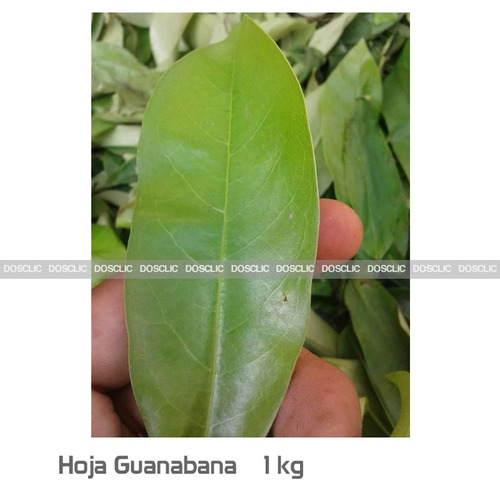 Hojas De Guanabana Organica Deshidratadas 100 Gr