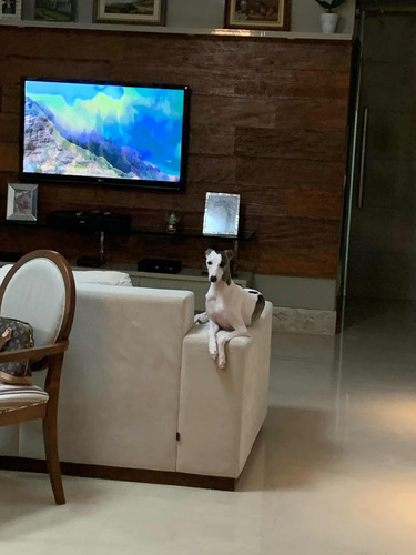 Apartamento 3 Suítes 4 Vagas Piscina Coberta Aqueacida!