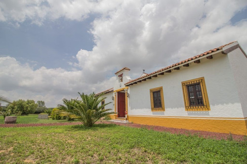 Imagen 26 de 30 de Rancho Morera En Venta, Carretera A Dolores Hidalgo En San M