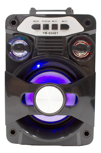 Bocina Bluetooth Recargable Radio Luz Led + Control Remoto