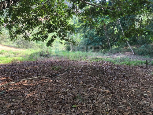 Terreno Rural Para Chácara À Venda Em Itajaí/sc - 1670c