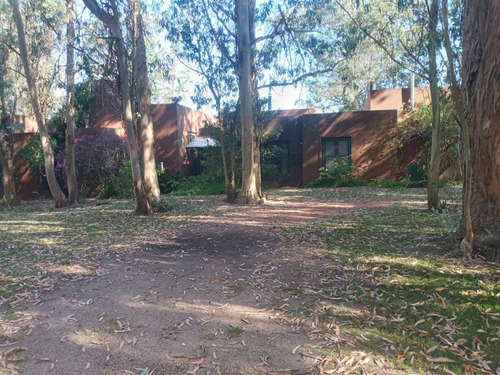 Chacra En Oportunidad Zona Jose Ignacio - Ref: 217418