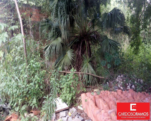 Imagem 12 de 12 de Terreno - Te00101 - 34058162