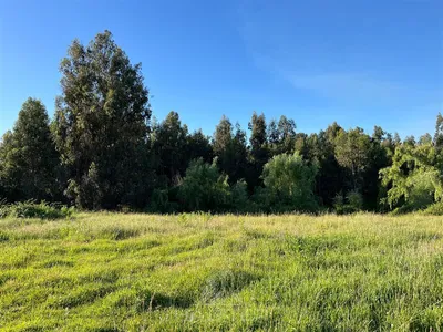 Parcela en venta